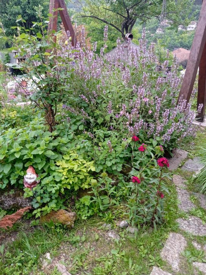 Hotel Privatni Smjestaj Kurtalija Jajce Zewnętrze zdjęcie